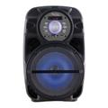 Bafle Potenciado Acid New Negro Harrison by Kanji SP-KJA16D