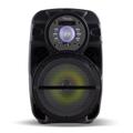 Bafle Potenciado Acid New Negro Harrison by Kanji SP-KJA16D